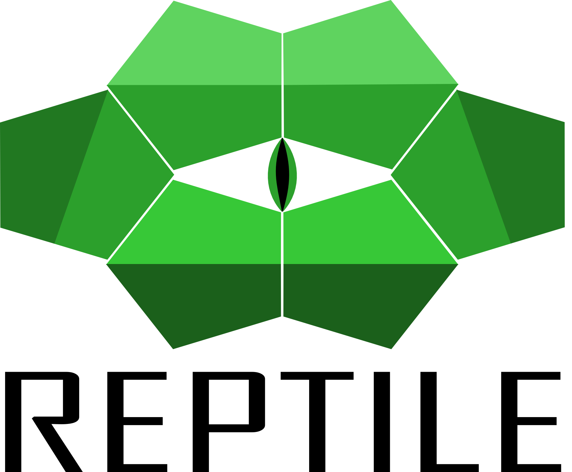 Reptiles In The Logos Of Some Dojos Crossword - wkvmqzh