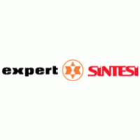 Logo of SINTESI